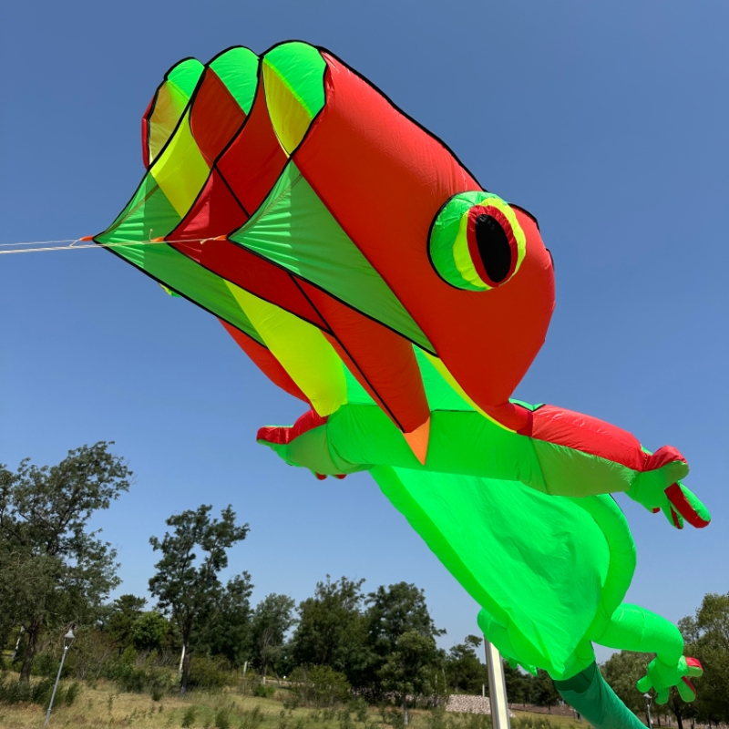 Outdoor Sport An - Pipa Inflável Gigante de Gecko de