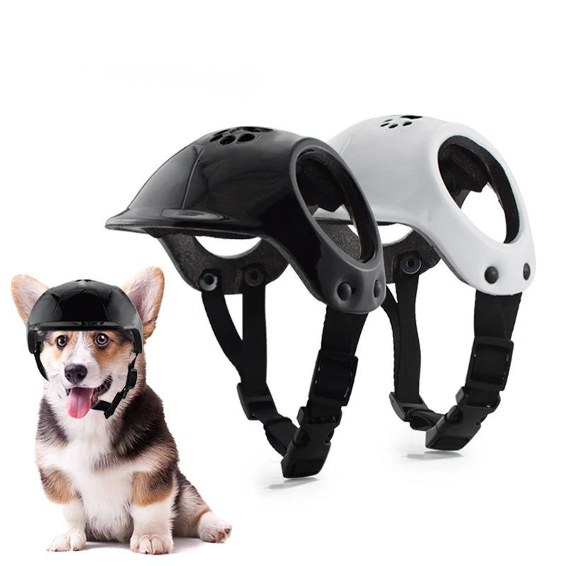 Outdoor Sport Using A Bike - Capacete de Motocicleta para Animais de
