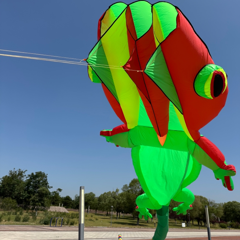 Pipa Inflável Gigante de Gecko - Outdoor Sport An avaliação e preço