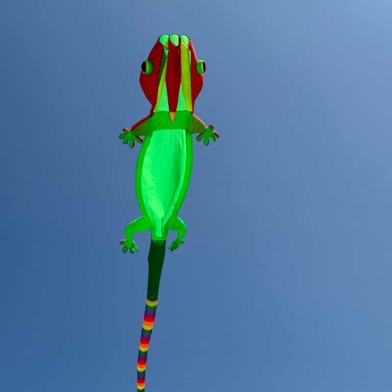 Pipa Inflável Gigante de Gecko - Outdoor Sport An avaliação e preço